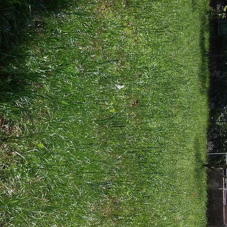 Apartment For Holidays In Pula Luaran gambar