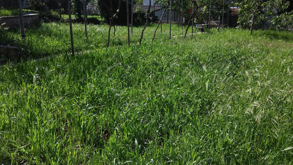 Apartment For Holidays In Pula Luaran gambar